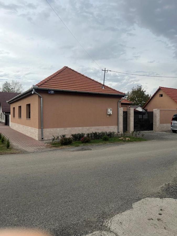 Emanuela Apartments Pecica Exterior foto